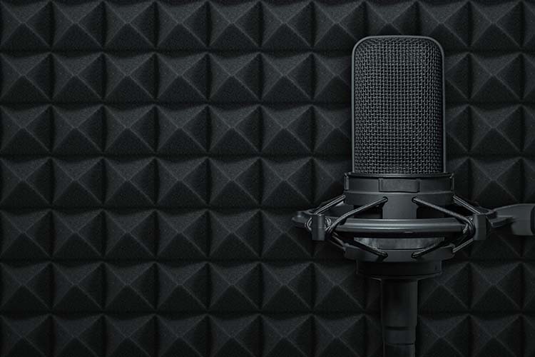 microphone